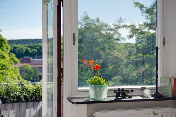 immobilier Appartement 1260