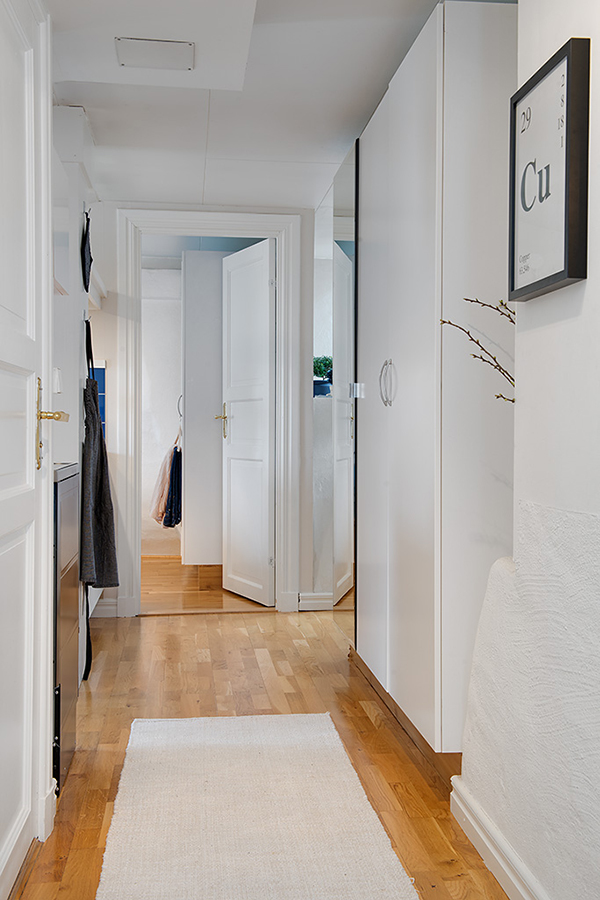 immobilier Appartement 1504