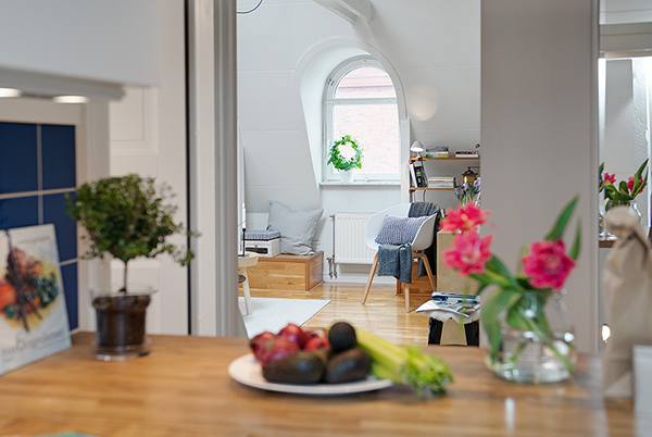 immobilier Appartement 1504
