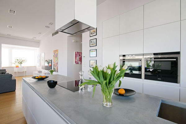 immobilier Appartement 1516