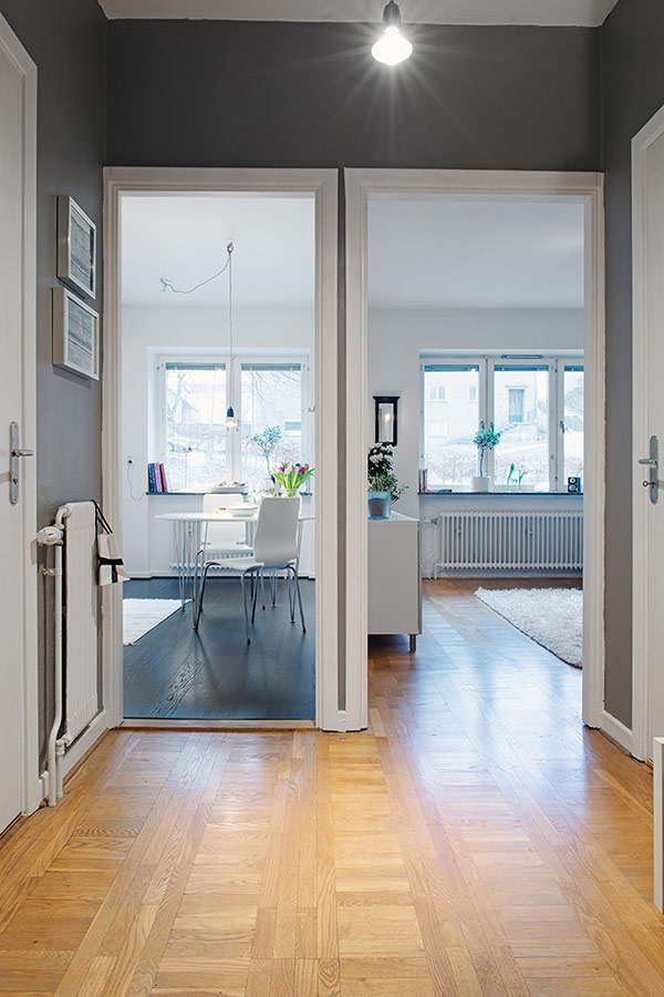 immobilier Appartement 1589