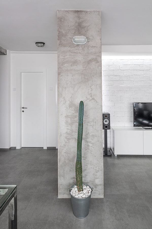 immobilier Appartement 1643
