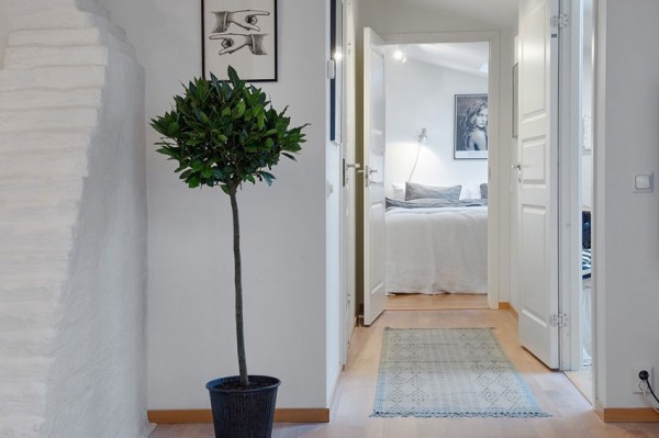 immobilier Appartement 379