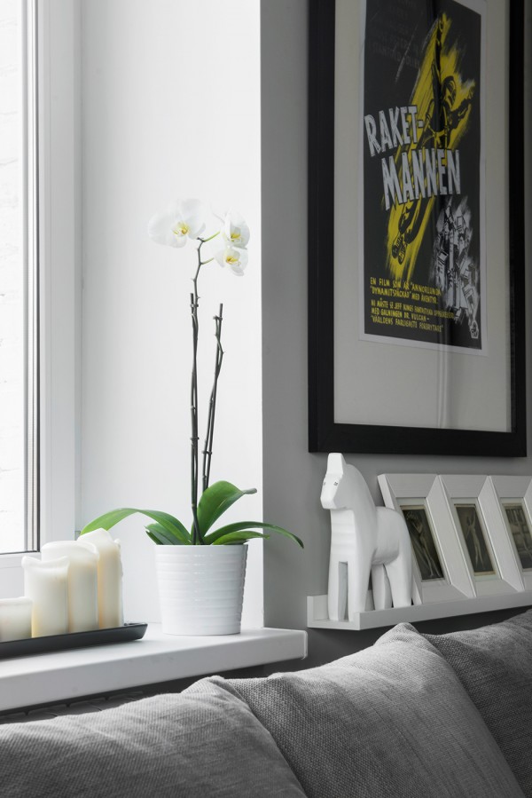 immobilier Appartement 860