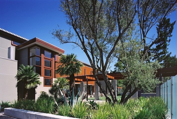immobilier Maison 1196