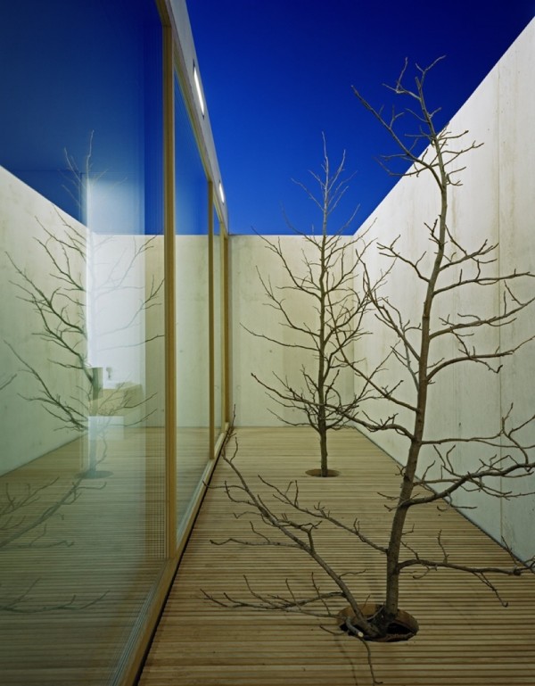 immobilier Maison 1201
