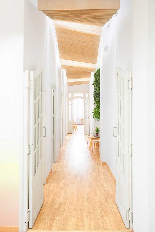 immobilier Maison 1216
