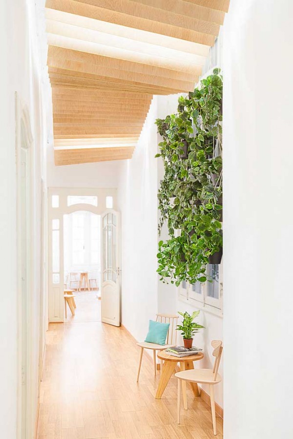 immobilier Maison 1216
