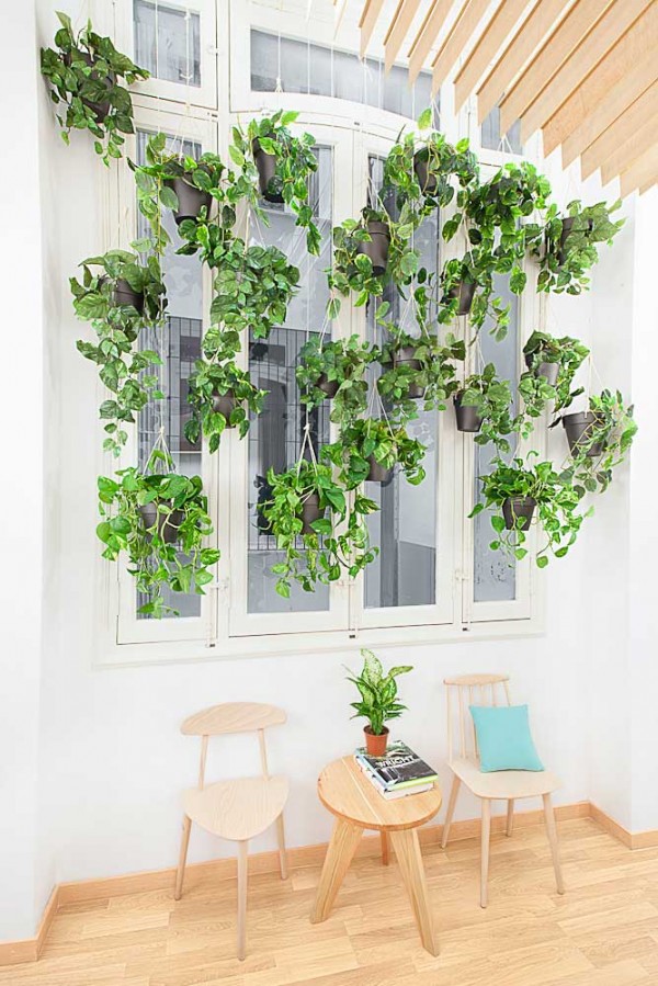 immobilier Maison 1216