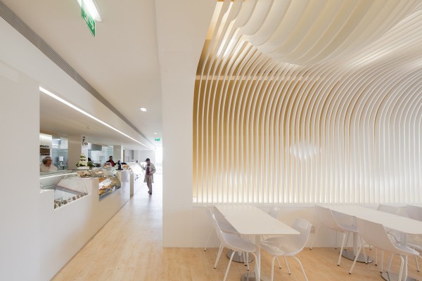 immobilier Maison 1257