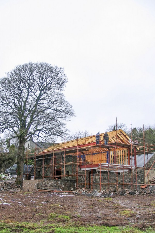 immobilier Maison 1303