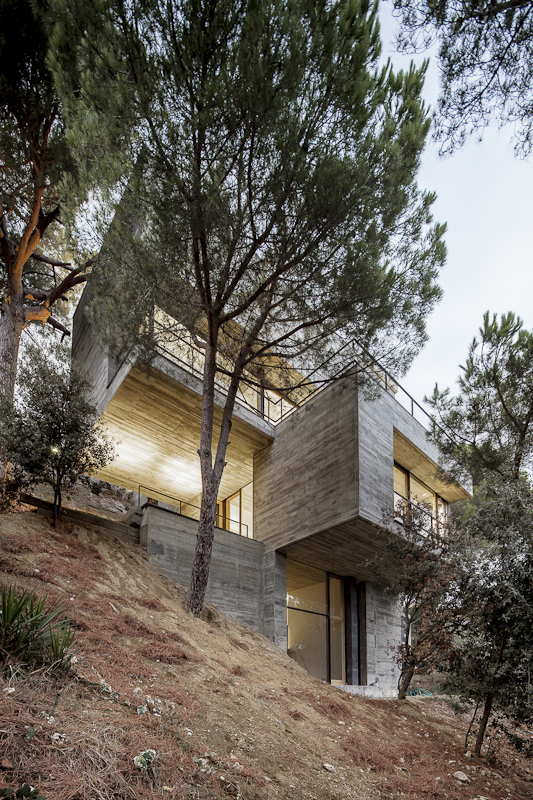 immobilier Maison 1379