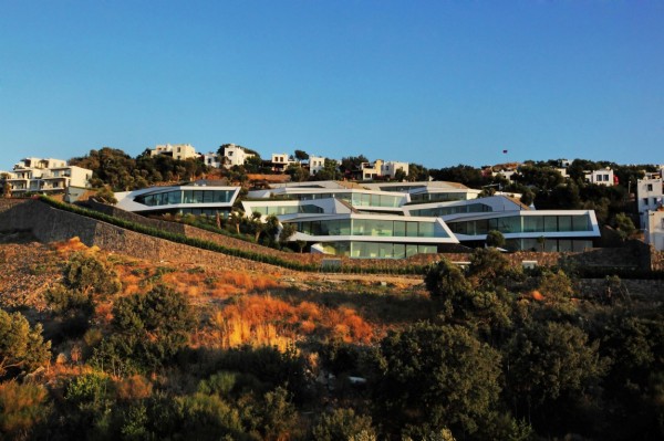 immobilier Maison 1409
