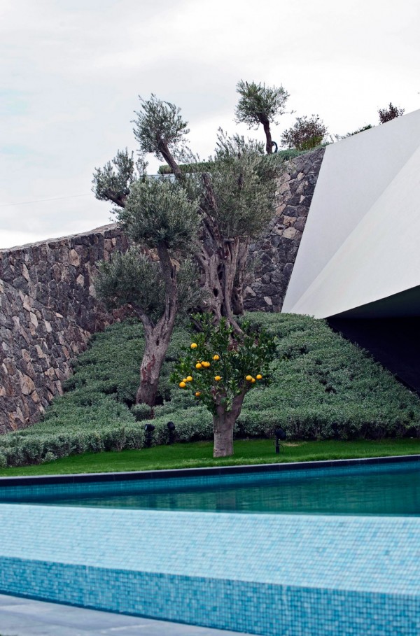 immobilier Maison 1409