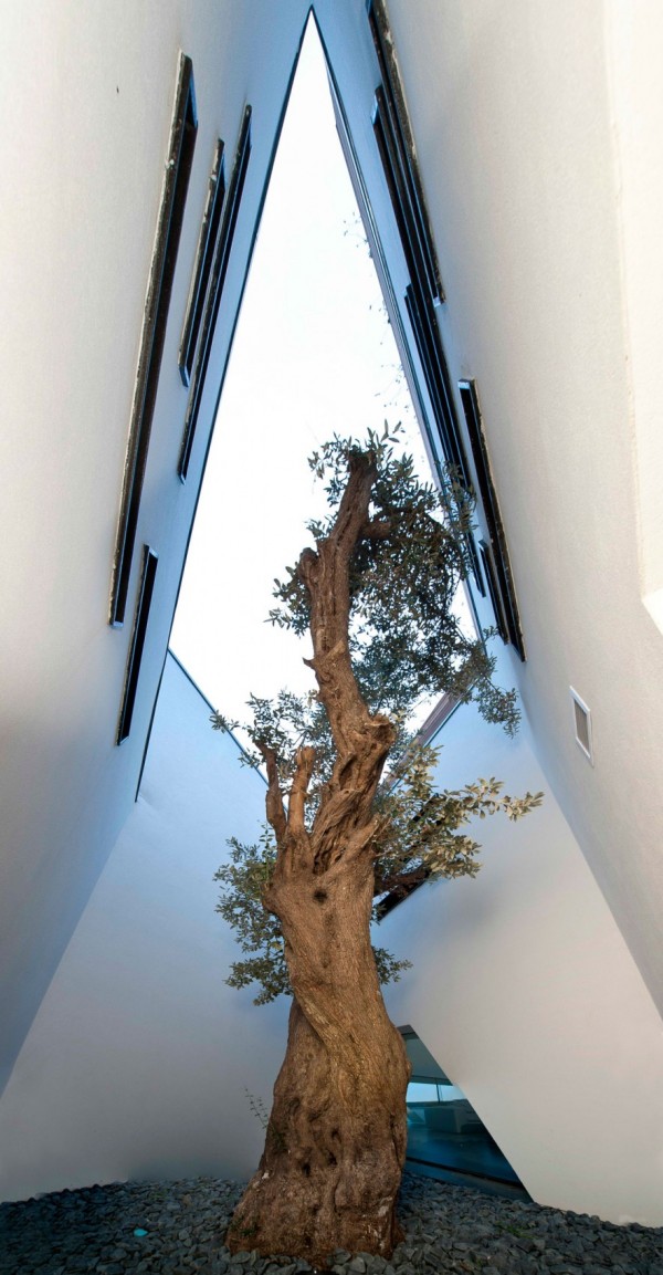 immobilier Maison 1409