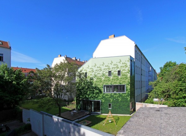 immobilier Maison 1429