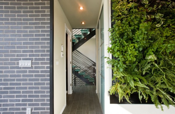 immobilier Maison 1434