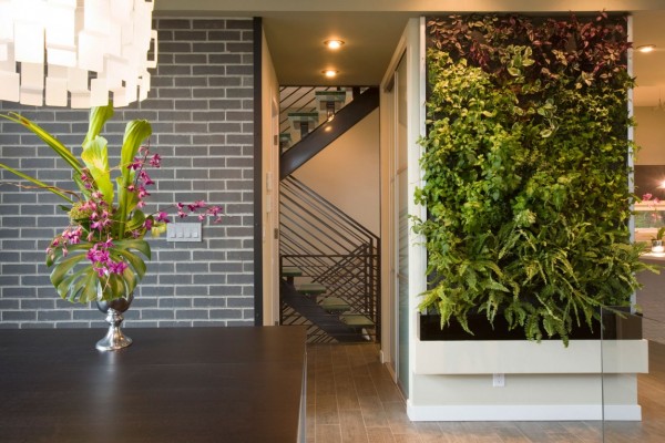 immobilier Maison 1434
