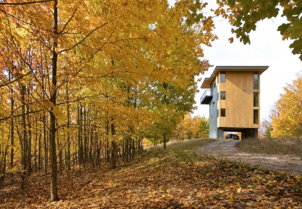 immobilier Maison 1446
