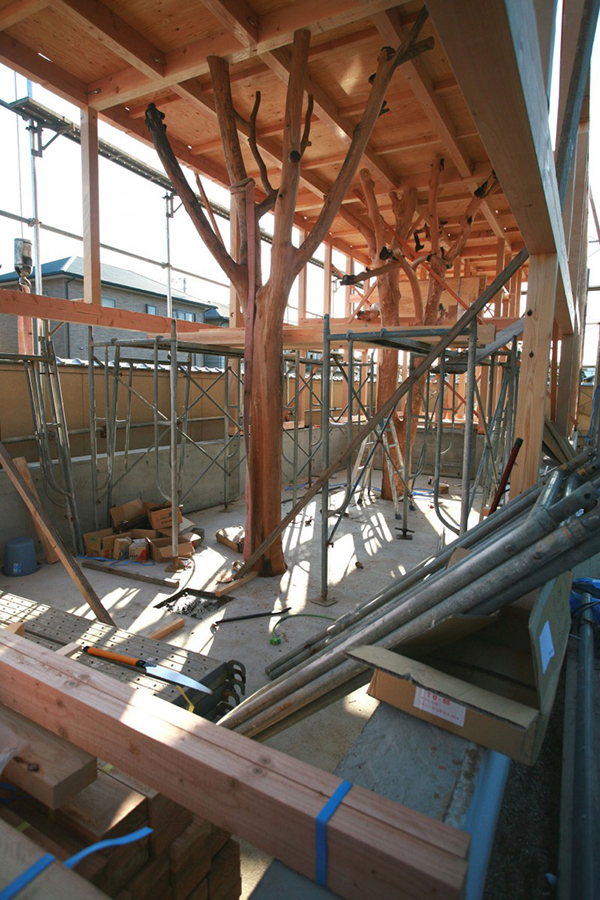 immobilier Maison 1511