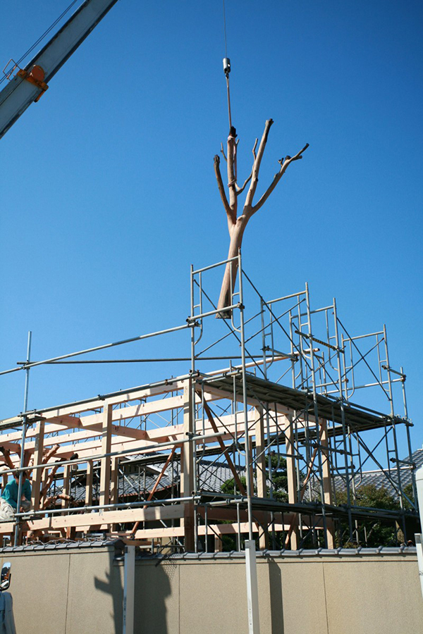 immobilier Maison 1511