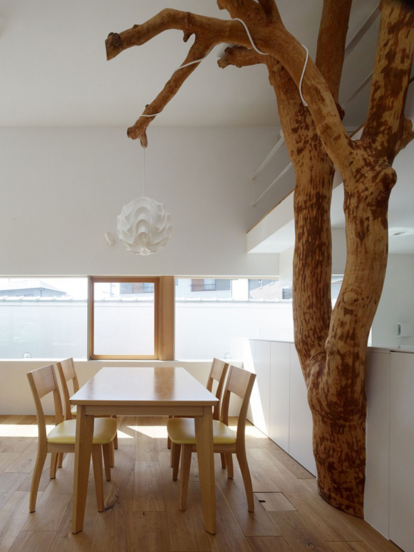 immobilier Maison 1511