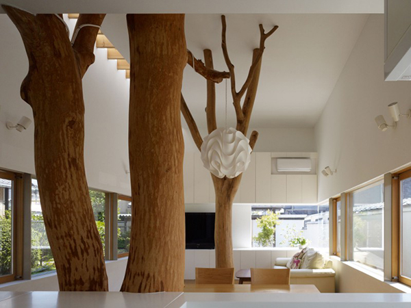 immobilier Maison 1511