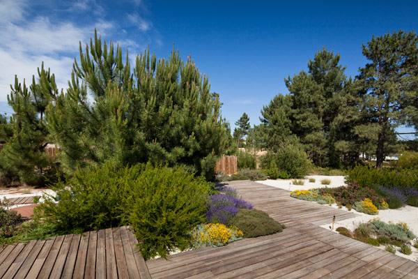 immobilier Maison 1533