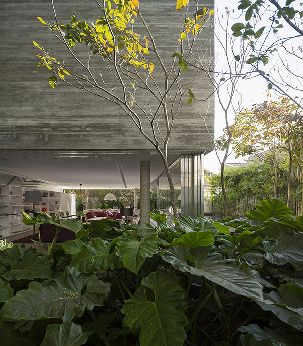 immobilier Maison 1560