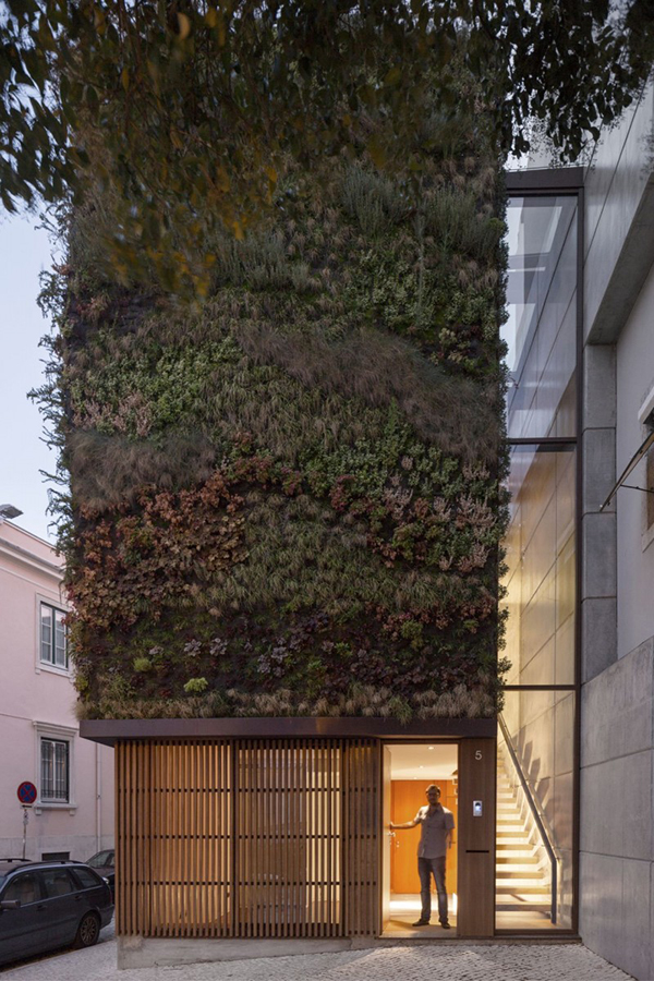 immobilier Maison 1672