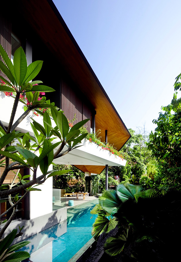 immobilier Maison 1801