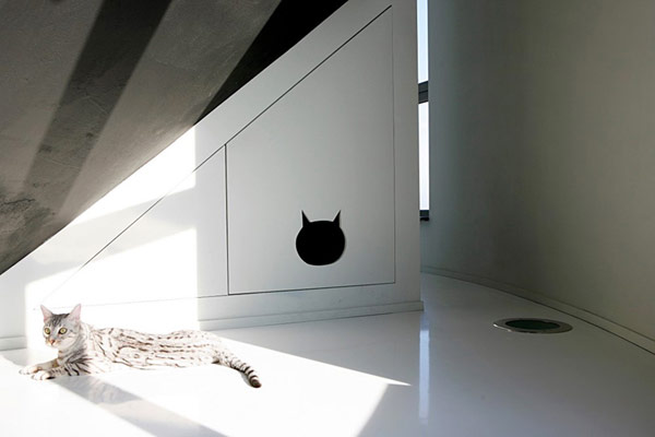immobilier Maison 1981