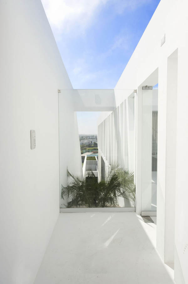 immobilier Maison 2088