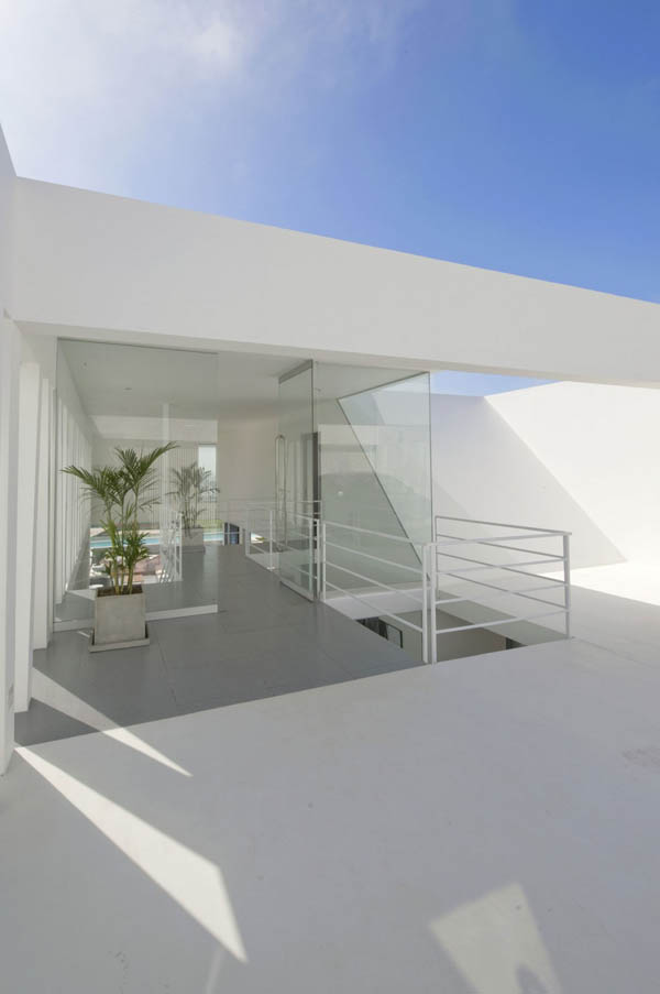 immobilier Maison 2088