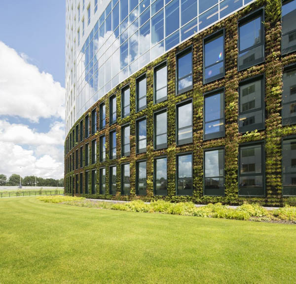 immobilier Maison 2114