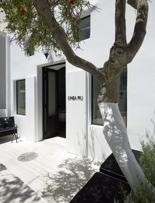 immobilier Maison 2154