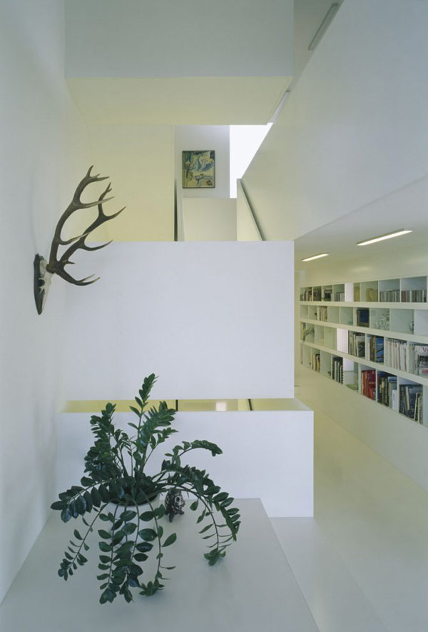 immobilier Maison 2174