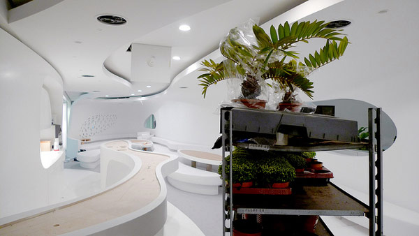 immobilier Maison 2226