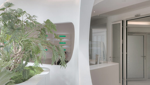 immobilier Maison 2226