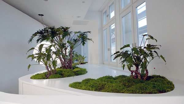 immobilier Maison 2226