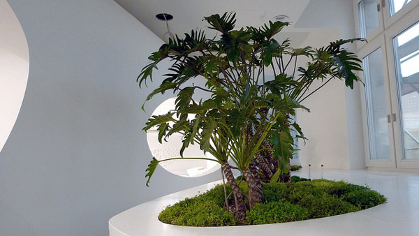 immobilier Maison 2226