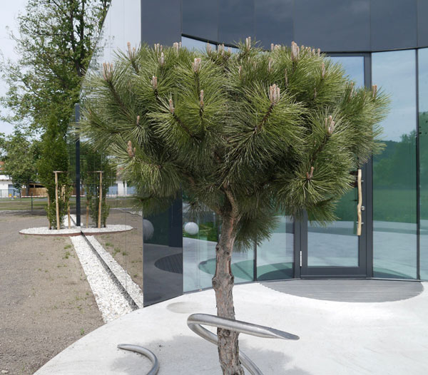 immobilier Maison 2255