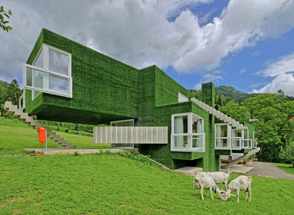 immobilier Maison 2401