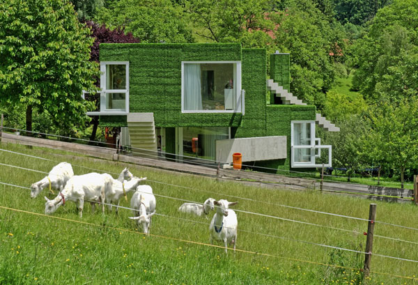 immobilier Maison 2401