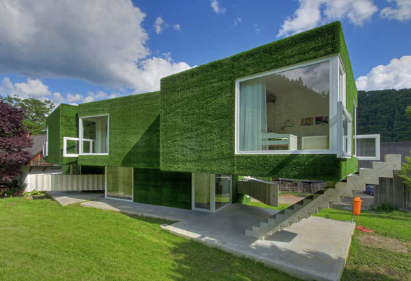 immobilier Maison 2401