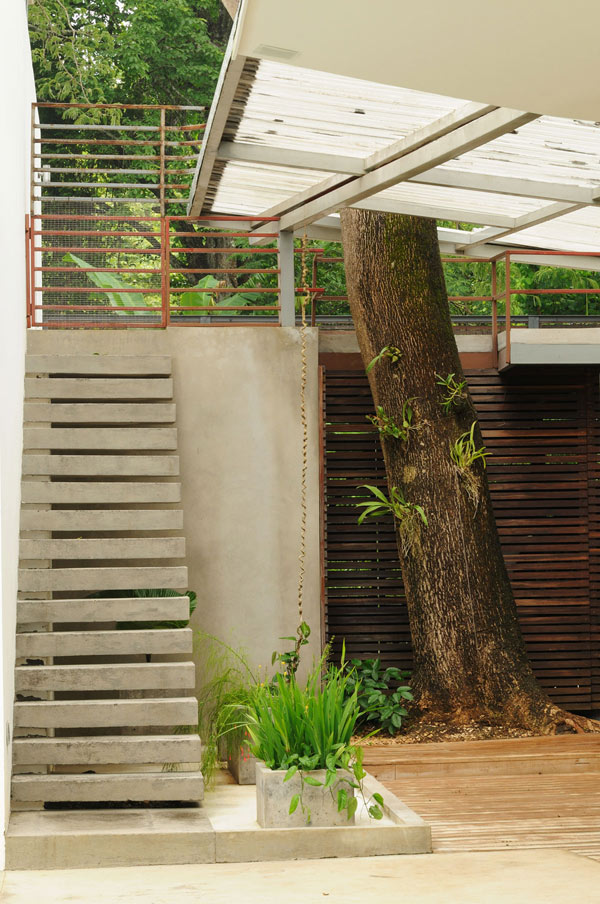 immobilier Maison 2411