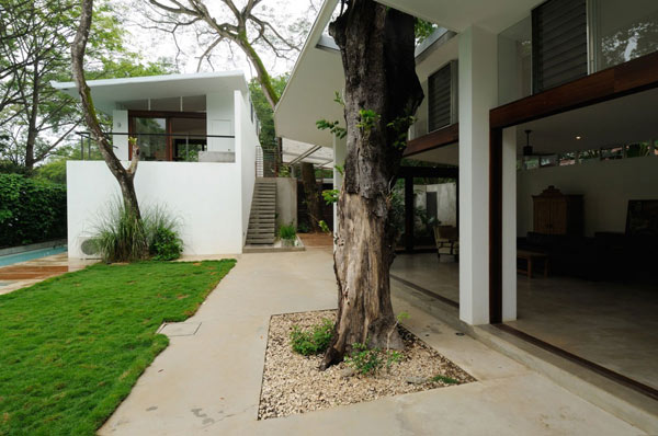 immobilier Maison 2411
