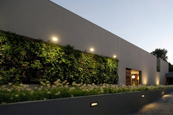 immobilier Maison 2469