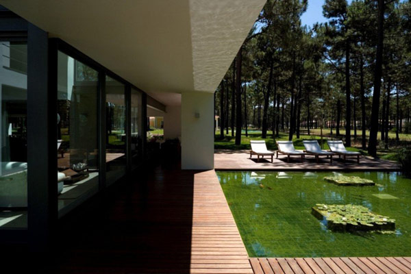 immobilier Maison 2484
