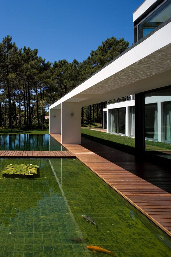 immobilier Maison 2484